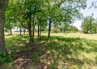 8001 Brock Highway ranch property near Brock, Texas