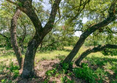 8001 Brock Highway ranch property near Brock, Texas