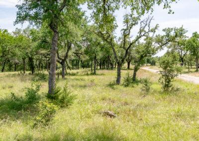 8001 Brock Highway ranch property near Brock, Texas