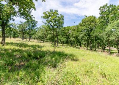 8001 Brock Highway ranch property near Brock, Texas