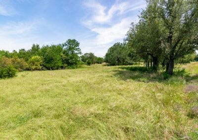 8001 Brock Highway ranch property near Brock, Texas