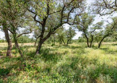 8001 Brock Highway ranch property near Brock, Texas