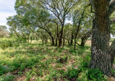 8001 Brock Highway ranch property near Brock, Texas