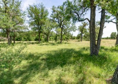 8001 Brock Highway ranch property near Brock, Texas
