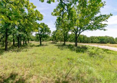 8001 Brock Highway ranch property near Brock, Texas