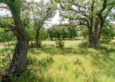 8001 Brock Highway ranch property near Brock, Texas