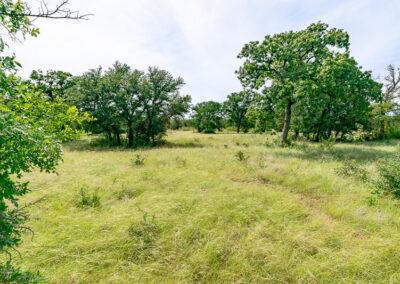 8001 Brock Highway ranch property near Brock, Texas