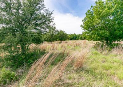 8001 Brock Highway ranch property near Brock, Texas