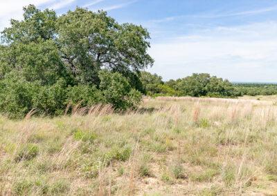 8001 Brock Highway ranch property near Brock, Texas