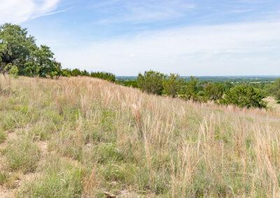 8001 Brock Highway ranch property near Brock, Texas