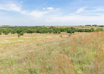 8001 Brock Highway ranch property near Brock, Texas