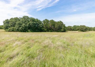 8001 Brock Highway ranch property near Brock, Texas