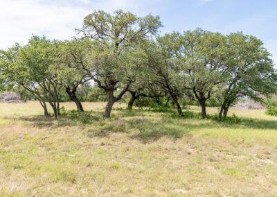 8001 Brock Highway ranch property near Brock, Texas