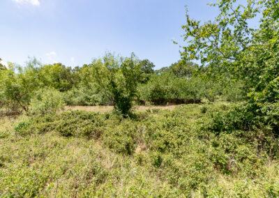Exit 410 / I-20 & East Bankhead Drive, Weatherford, Texas