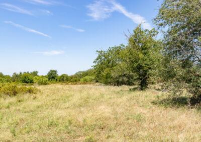 Exit 410 / I-20 & East Bankhead Drive, Weatherford, Texas